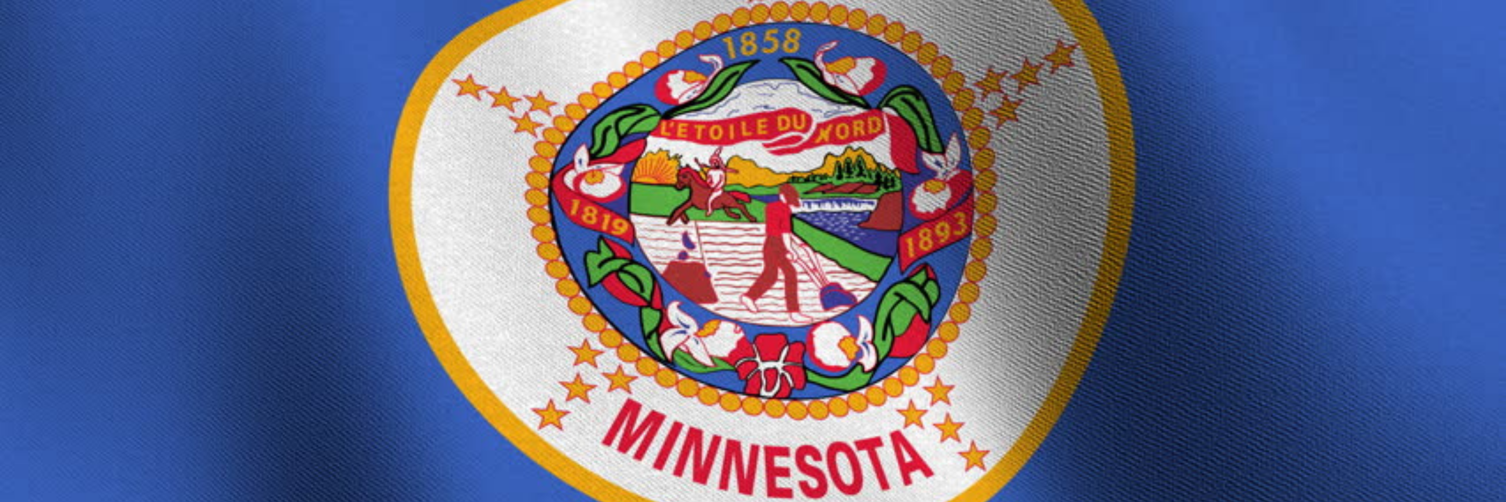 Minnesota Legal Lexicon